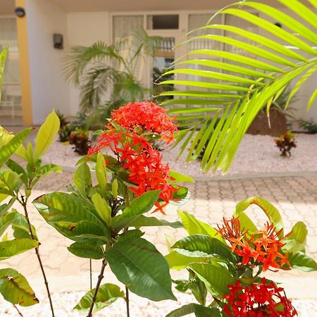 Montana Eco Resort Aruba Oranjestad Buitenkant foto